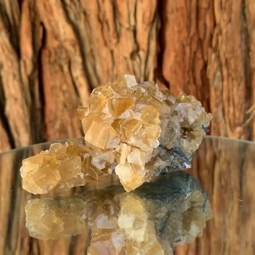 718+qmpHSpL._AC_UF894,